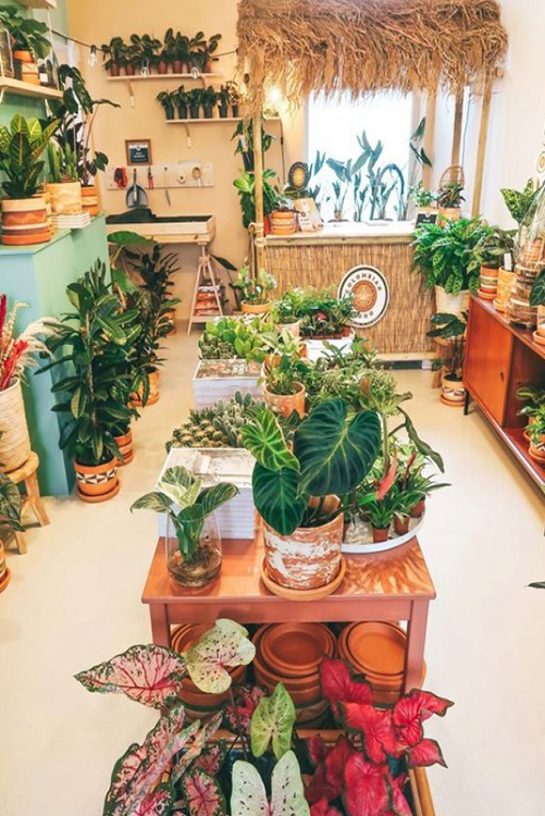 colombian boho shop foto 2